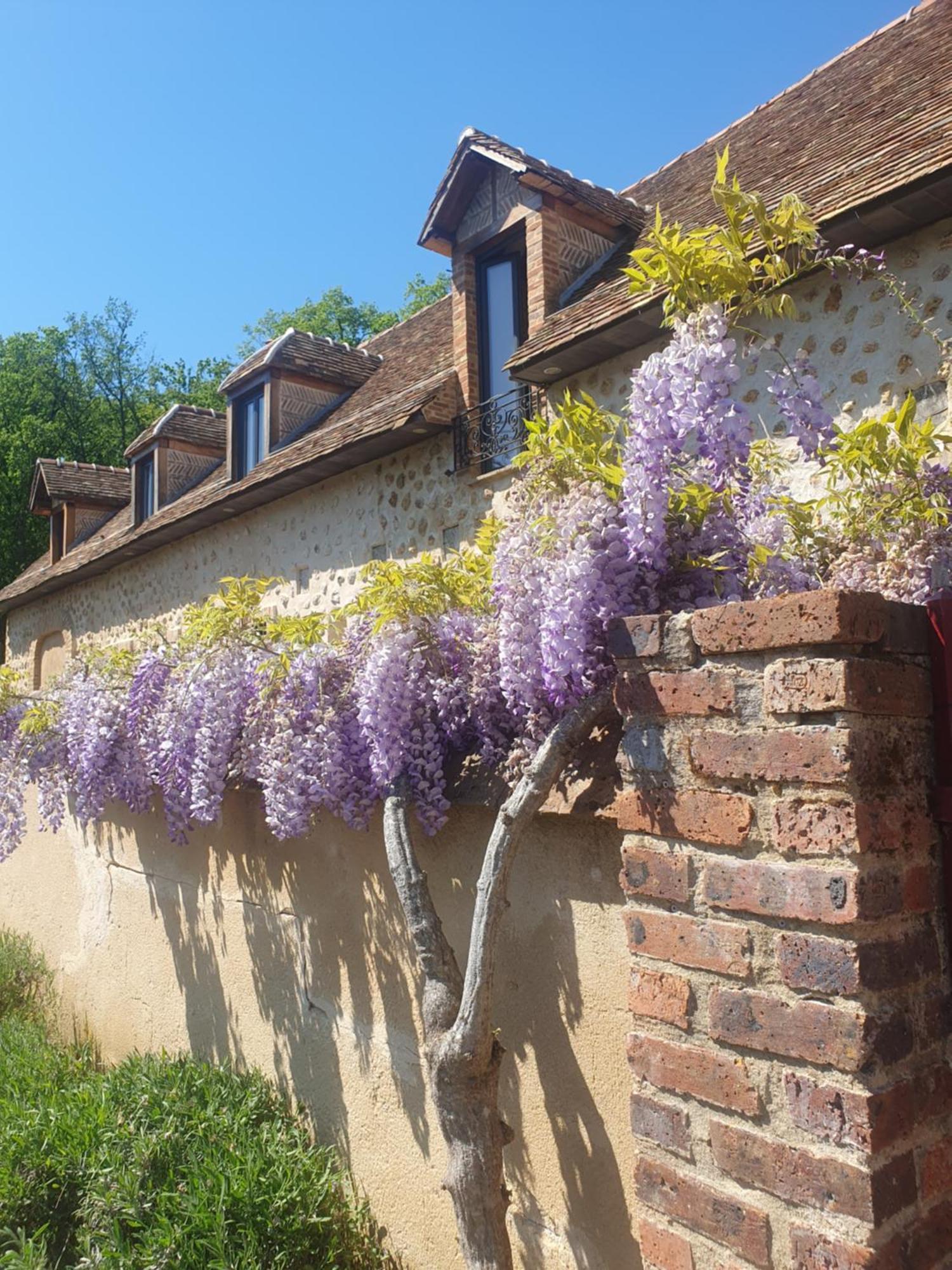 La Sablonniere De Rochefort Exterior photo